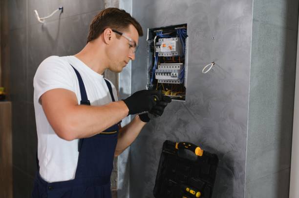 Best Ceiling Fan Installation Electrician  in Union City, MI
