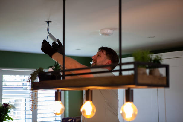 Best Affordable Emergency Electrician  in Union City, MI