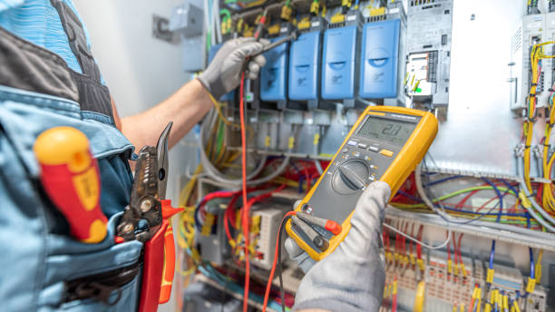Best Licensed Electrician  in Union City, MI